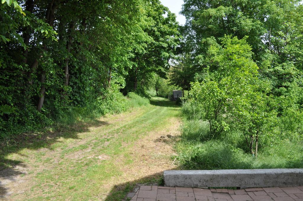 Ferienwohnung Kaestle Bad Bergzabern Eksteriør bilde